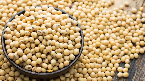 兩年的黃豆還能做豆?jié){喝嗎