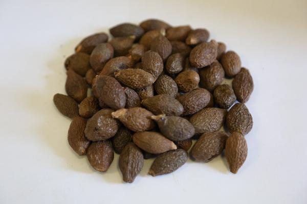 煎中藥需要清洗嗎