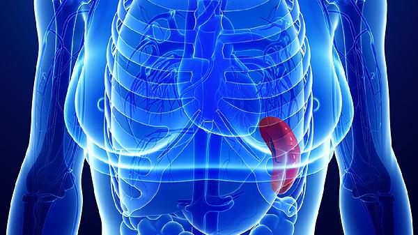 思慮過度會(huì)傷害哪個(gè)器官