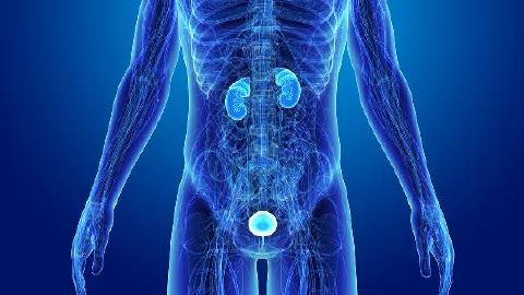 少精弱精是不是就懷不了孕