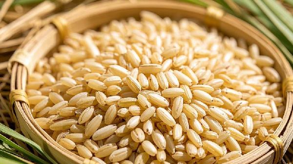 純糙米飯有什么功效