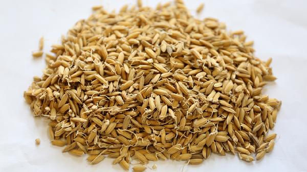 喝中藥吐了難受怎么辦