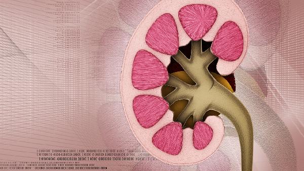 吃金匱腎氣丸為啥要禁欲?