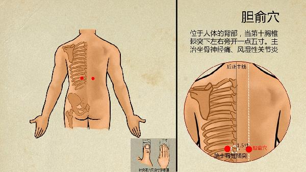 中醫(yī)減脂肪最快最有效的方法