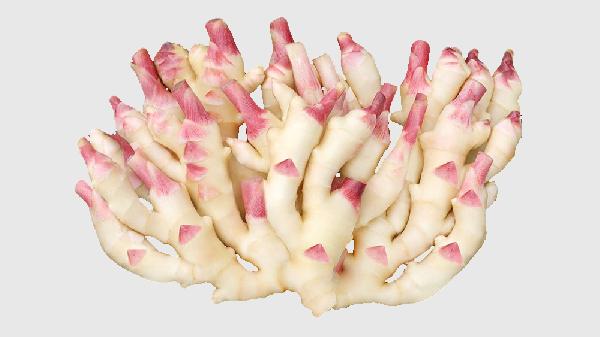 煮姜茶是用干姜還是鮮姜好