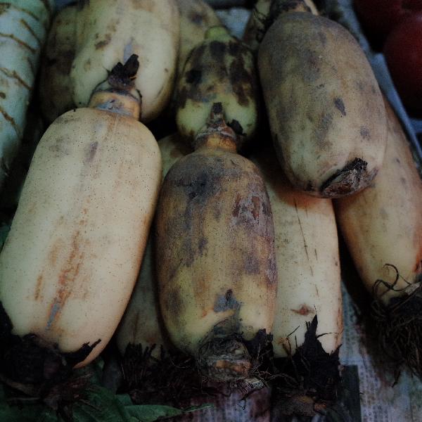 蓮藕怎么才不會(huì )發(fā)黑