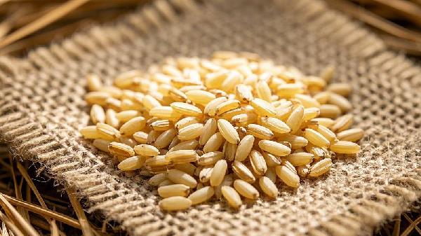 糙米直接蒸米饭可以吗