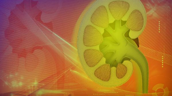 腎功能不全吃什么補