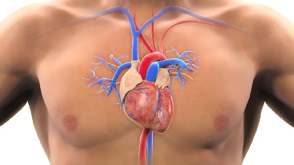 心臟尖瓣脫垂是怎么回事