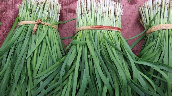 韭菜籽怎么吃才能壯陽