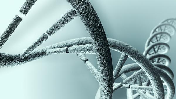 人乳頭瘤病毒61型陽(yáng)性怎么治療