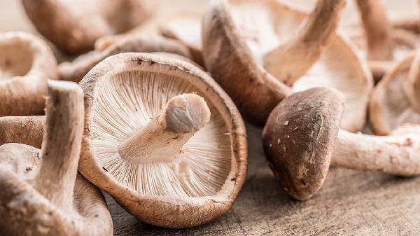 鮮香菇怎么處理沒有味道