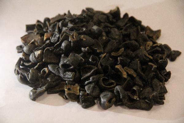 代謝脂肪最快的方法中藥