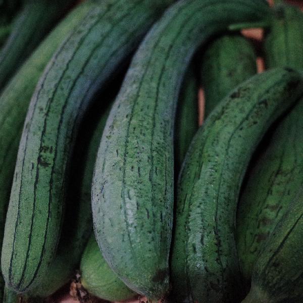 絲瓜怎么做不發(fā)黑有竅門