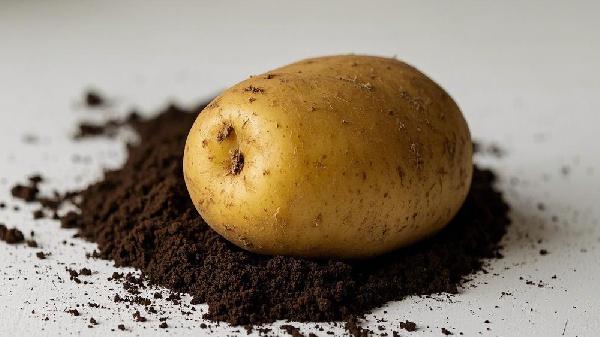 吃一個(gè)土豆會(huì )胖嗎