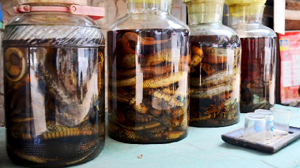 什么藥酒舒筋活血強壯身體