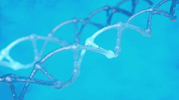 nt過(guò)了胎兒染色體異常的概率