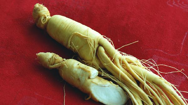 人參泡酒正確方法