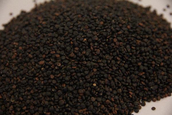 八種最安全的兒童止咳藥中藥