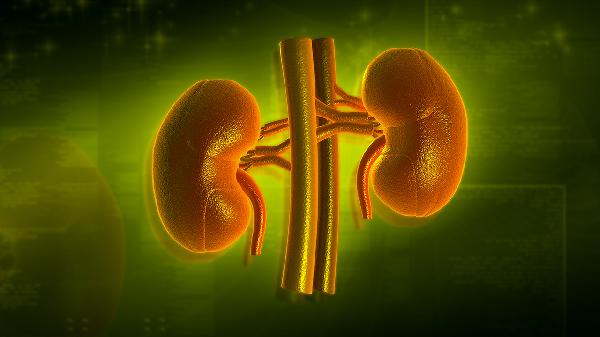 一個(gè)腎屬于先天性畸形嗎