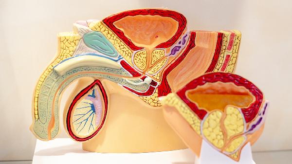 怎么快速治療早泄