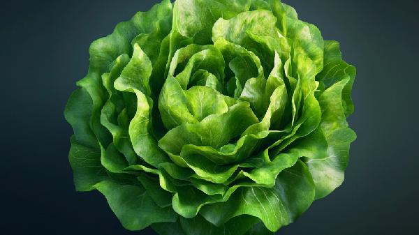 生菜放冰箱放幾天還能吃嗎