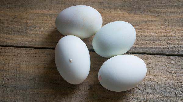 女人需要喝膠原蛋白嗎 女人喝膠原蛋白的好處多多