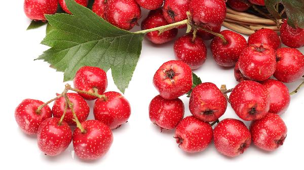 山楂和枸杞泡水喝的功效能降血壓?jiǎn)?>
                  </p>
              </a>
    </li>
        </mip-toggle>
</ul>	<mip-toggle id=