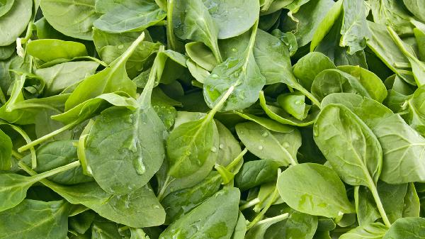 蔬菜打了農(nóng)藥3天能吃嗎