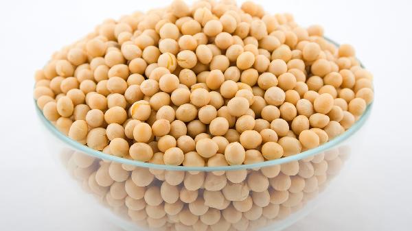 吃什么食物生發(fā)防脫發(fā)