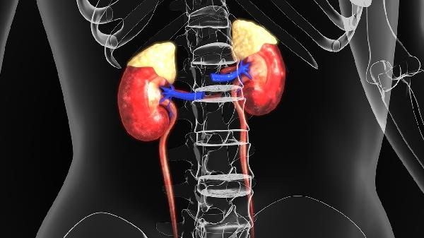 腎癌切除了一個(gè)腎復發(fā)的可能性大嗎能治好嗎