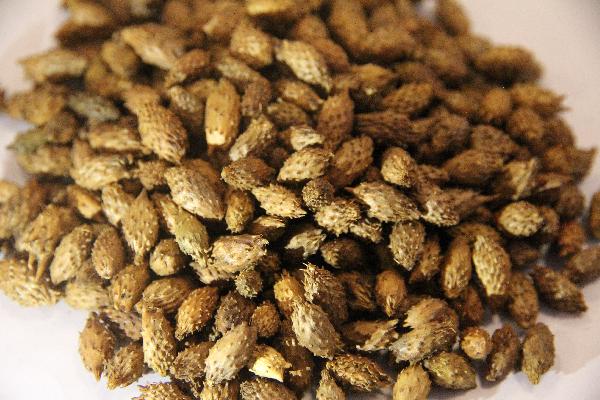 腺肌癥吃中藥調(diào)理有效果嗎