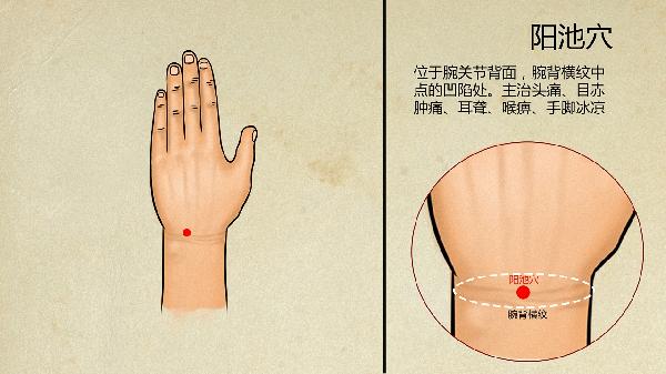 老年人便秘應(yīng)該看中醫(yī)還是西醫(yī)