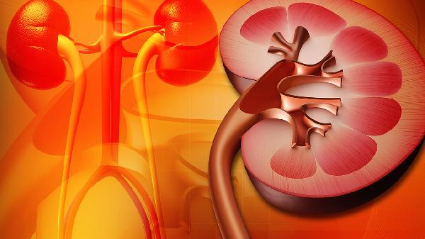 金匱腎氣丸吃多久就不能吃了