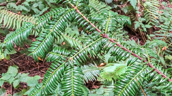 一夜醒好幾次怎樣調理睡眠