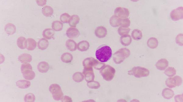 鼻病毒是常見的病毒嗎