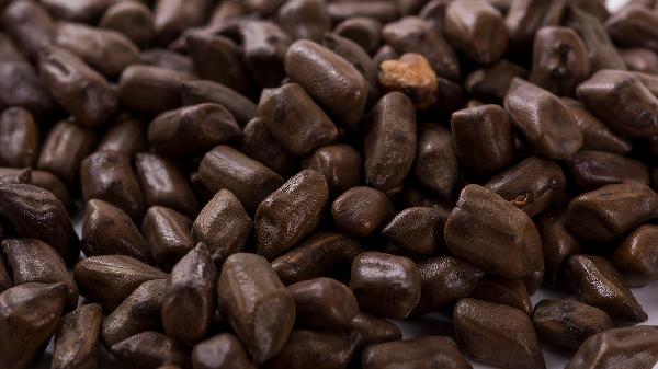 冬瓜荷葉決明子茶能長(cháng)期喝嗎