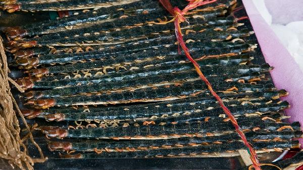 煎煮中藥的最佳用具是