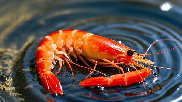 6周歲多久吃一次蝦