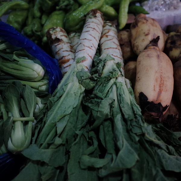 青菜心發(fā)黃還能吃嗎