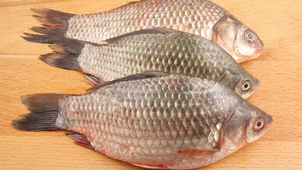 鯽魚(yú)怎么煎好吃還不粘鍋