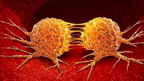 病毒性鼻炎和細(xì)菌性鼻炎的癥狀一樣嗎