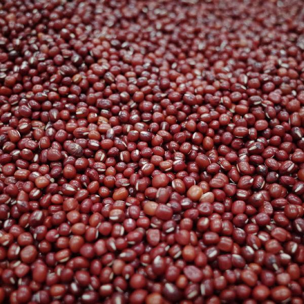 哪里的赤小豆药效好