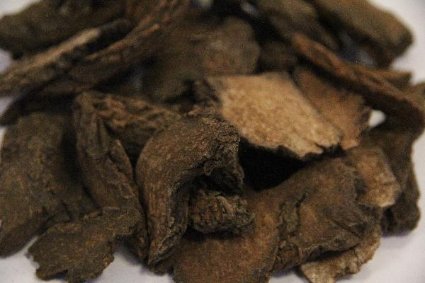 中藥方治療梅毒的偏方秘方是什么