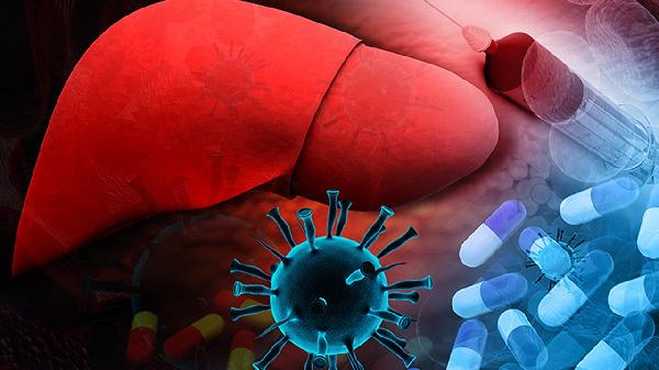 生豬肝怎樣保存兩天不壞