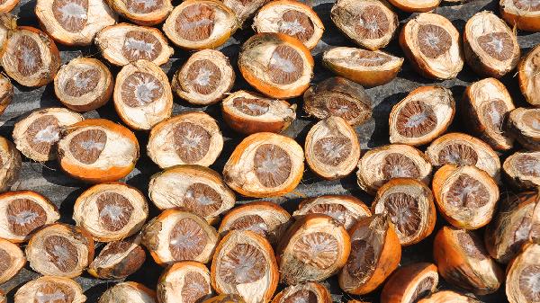 烤箱做食物要解凍嗎?