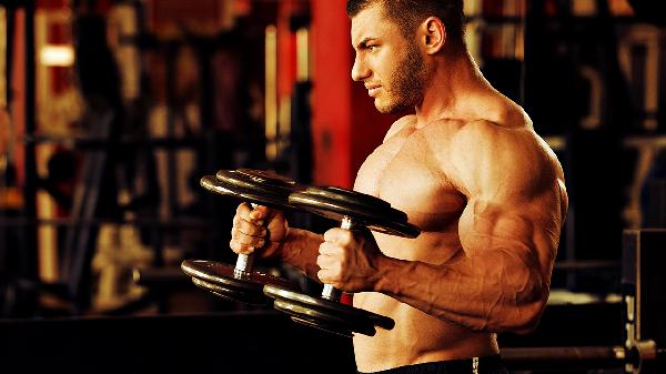 健身吃什么補蛋白質(zhì)最快最好