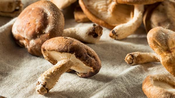 鮮香菇做干香菇怎么做法