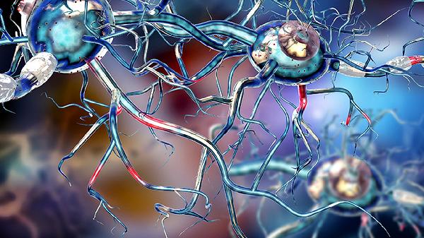 什么会导致视神经萎缩