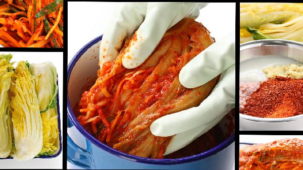 大白菜怎么樣保存